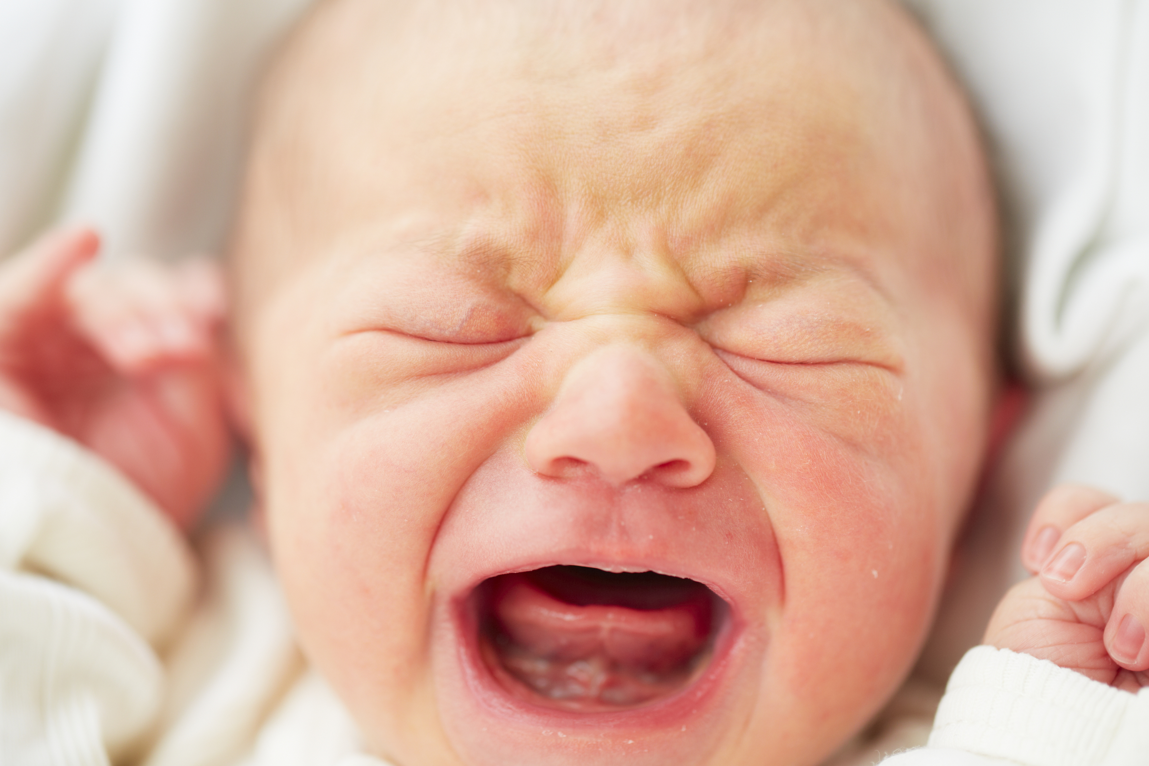 Freins buccaux restrictifs : comprendre et soulager Bébé