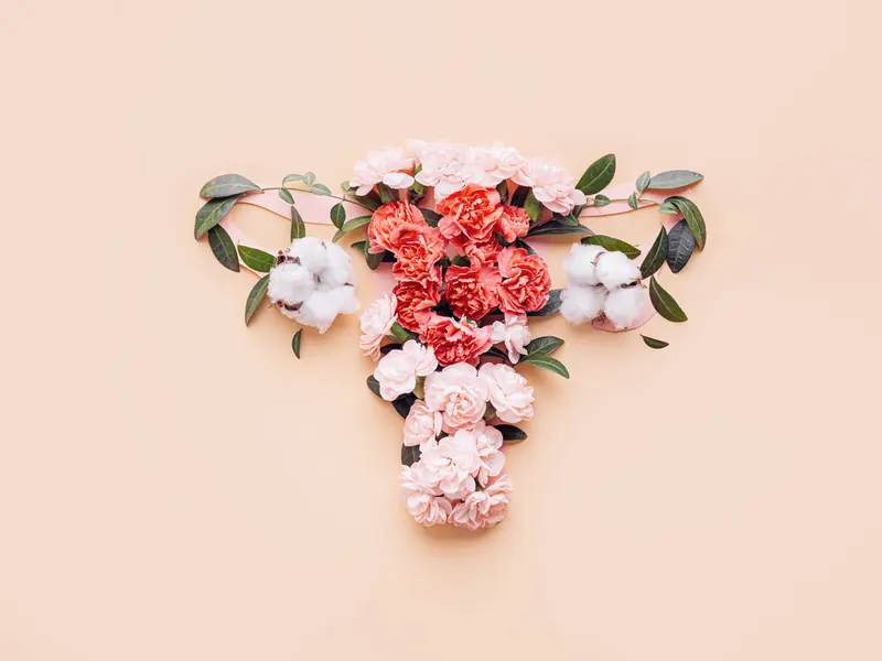 Le rôle de la progestérone pendant la grossesse