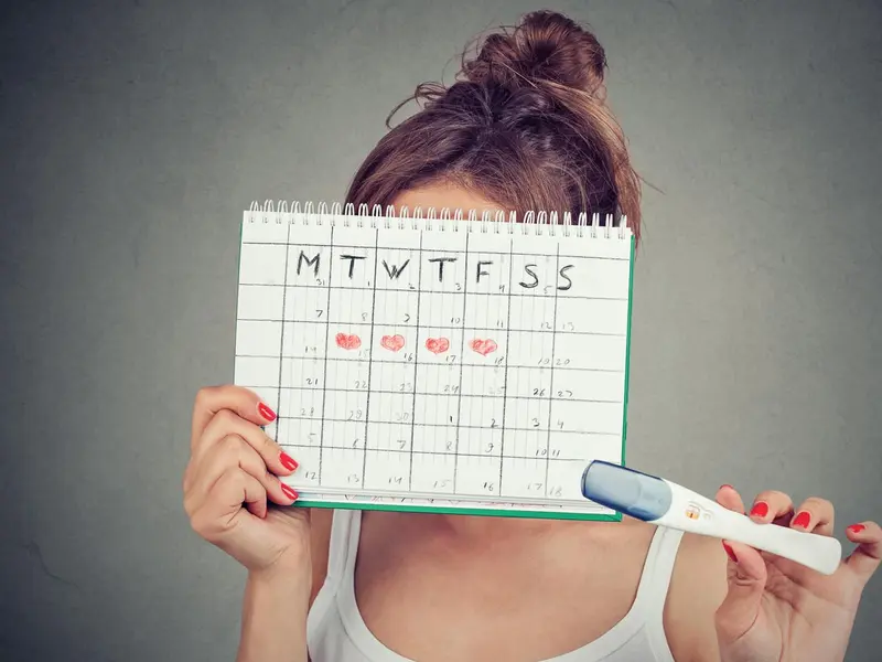 calcul date d'ovulation