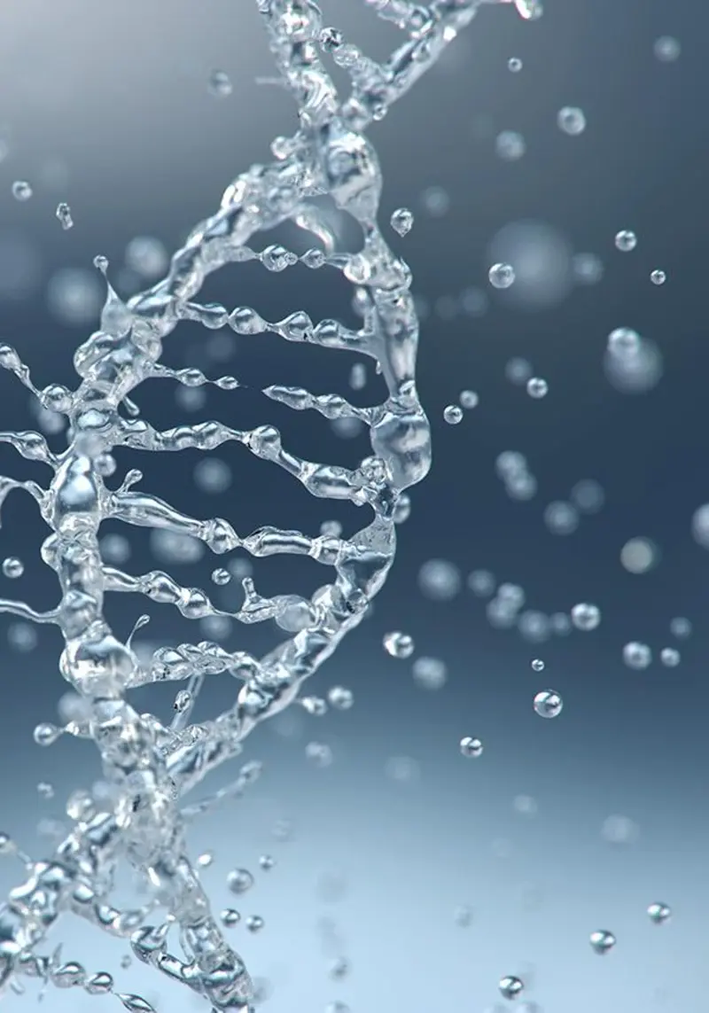 Les différents types d'eaux