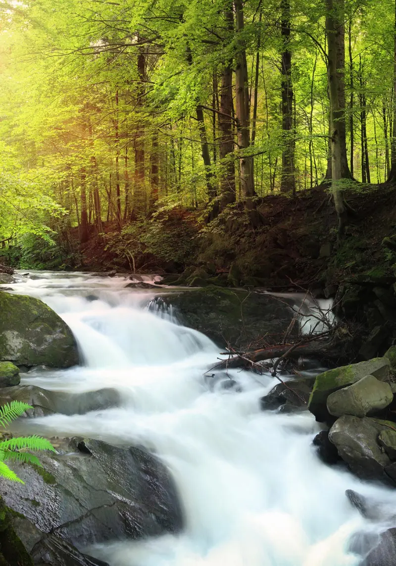 Préserver la pureté de Mont Roucous