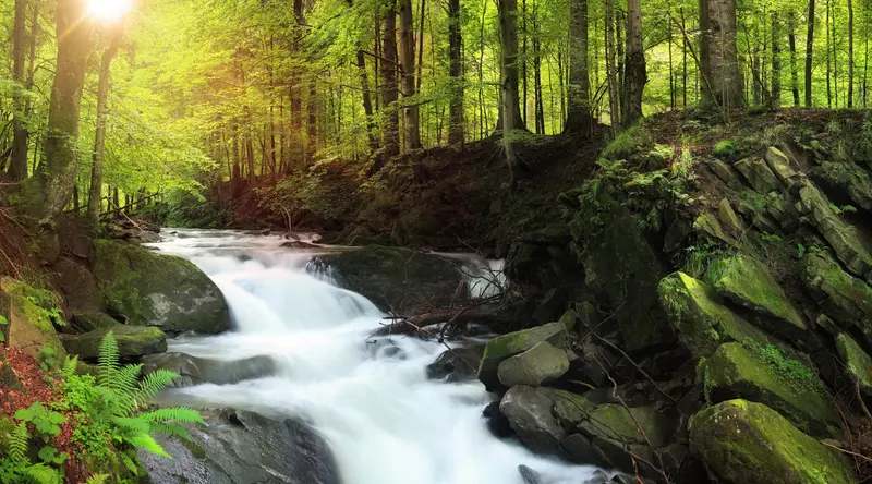 Préserver la pureté de Mont Roucous